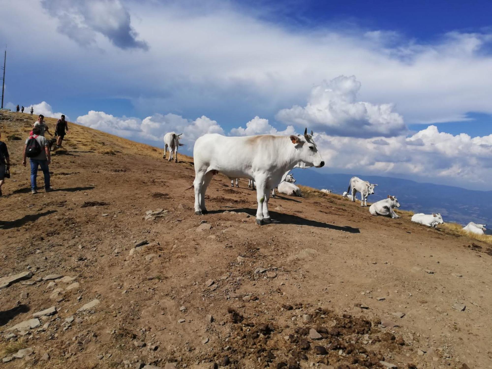 فيلا Il Rifugio Di Vale Cetica المظهر الخارجي الصورة